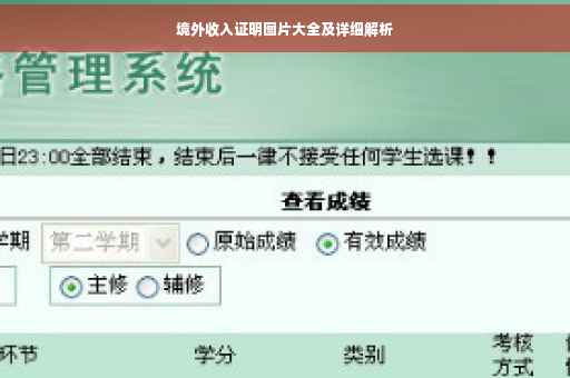 境外收入证明图片大全及详细解析