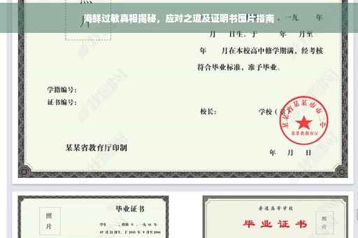 海鲜过敏真相揭秘，应对之道及证明书图片指南