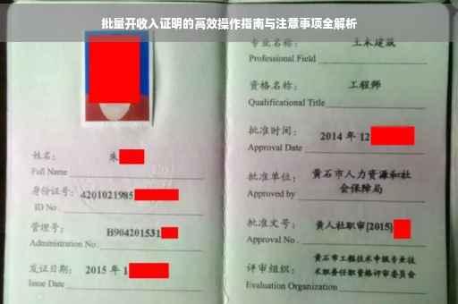 批量开收入证明的高效操作指南与注意事项全解析