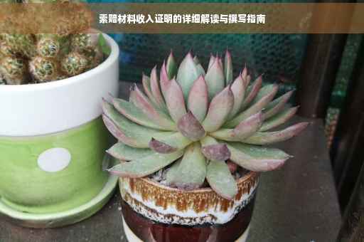 索赔材料收入证明的详细解读与撰写指南