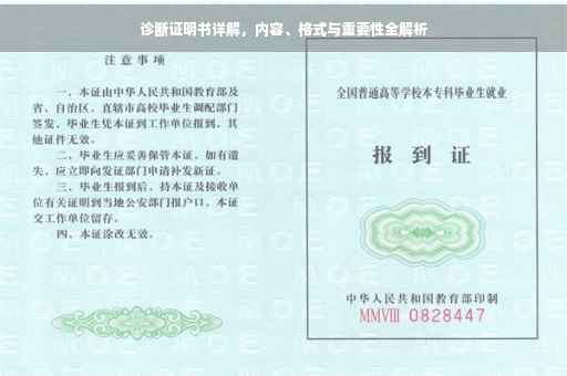 诊断证明书详解，内容、格式与重要性全解析