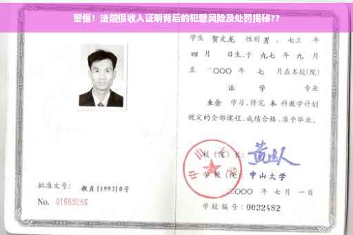 警惕！法院假收入证明背后的犯罪风险及处罚揭秘??