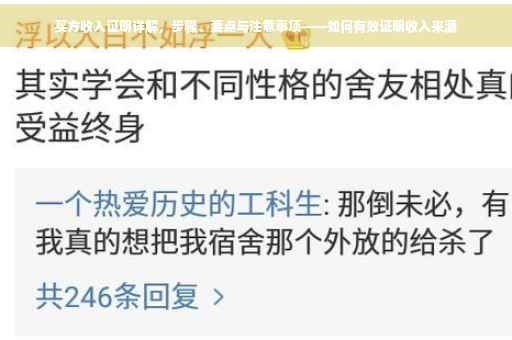 买方收入证明详解，步骤、要点与注意事项——如何有效证明收入来源
