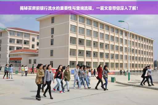 揭秘买房前银行流水的重要性与查询流程，一篇文章带你深入了解！