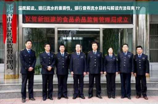 深度解读，银行流水的重要性，银行查看流水目的与解读方法指南 ??