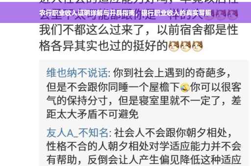 农行职业收入证明详解与开具指南，银行职业收入的真实写照