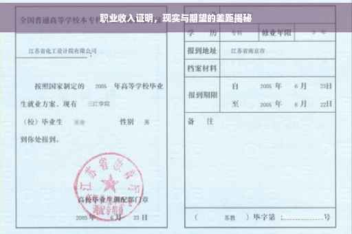职业收入证明，现实与期望的差距揭秘
