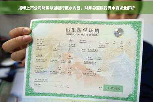 揭秘上市公司财务总监银行流水内幕，财务总监银行流水要求全解析
