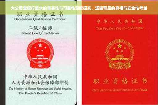 大公司查银行流水的真实性与可靠性深度探究，逻辑背后的真相与安全性考量