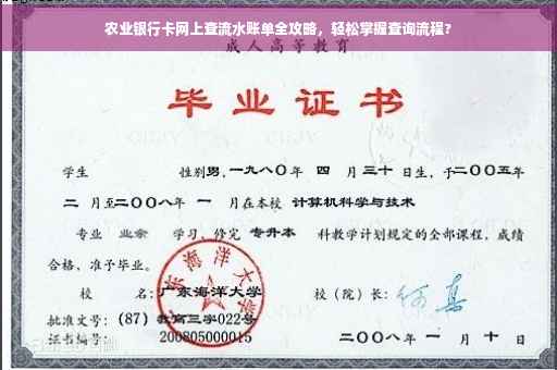 农业银行卡网上查流水账单全攻略，轻松掌握查询流程?