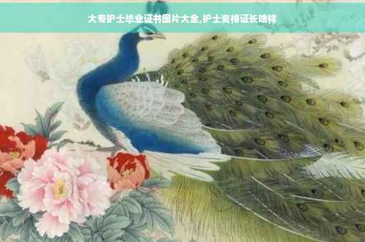 大专护士毕业证书图片大全,护士资格证长啥样