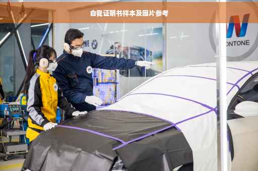 自我证明书样本及图片参考