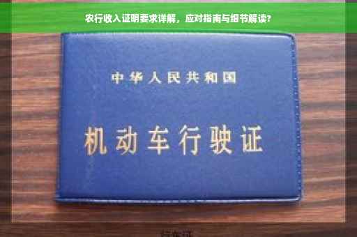 农行收入证明要求详解，应对指南与细节解读?
