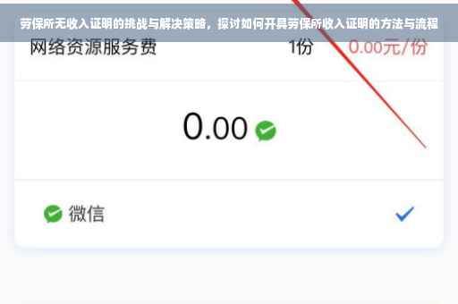 劳保所无收入证明的挑战与解决策略，探讨如何开具劳保所收入证明的方法与流程