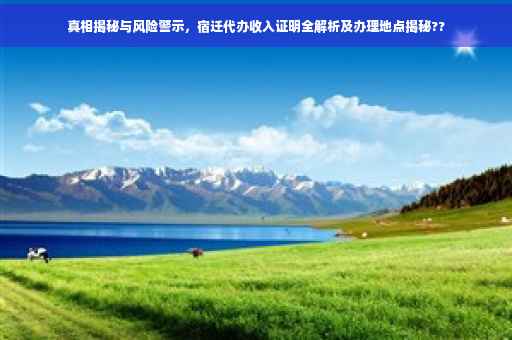 真相揭秘与风险警示，宿迁代办收入证明全解析及办理地点揭秘??