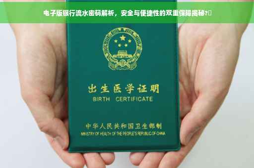 电子版银行流水密码解析，安全与便捷性的双重保障揭秘?✨