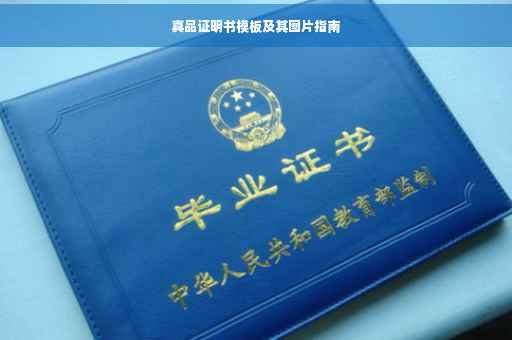 真品证明书模板及其图片指南