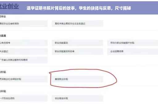 退学证明书照片背后的故事，学生的抉择与反思，尺寸揭秘