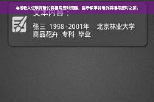 电核收入证明背后的真相与应对策略，揭示数字背后的真相与应对之策。
