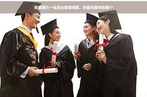农金银行一年流水查询详解，步骤与操作指南??