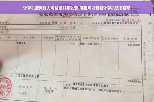 计算机应用能力考试证书怎么查-哪里可以查看计算机证书信息