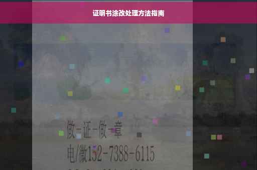 证明书涂改处理方法指南