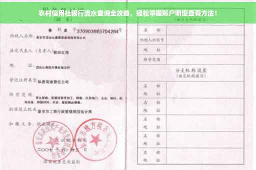 农村信用社银行流水查询全攻略，轻松掌握账户明细查看方法！