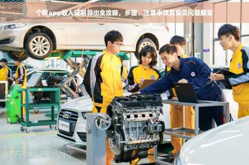 个税app收入证明导出全攻略，步骤、注意事项及常见问题解答