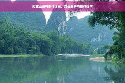 释放证明书制作详解，流程解析与操作指南