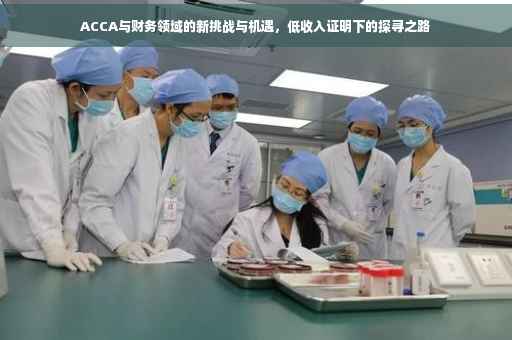 ACCA与财务领域的新挑战与机遇，低收入证明下的探寻之路