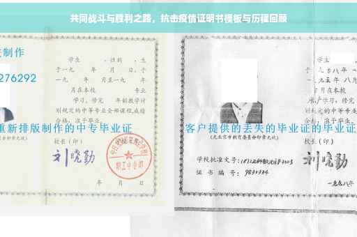 共同战斗与胜利之路,抗击疫情证明书模板与历程回顾 共同战斗与胜利之路,抗击疫情证明书模板与历程回顾