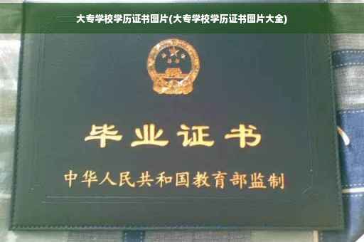 大专学校学历证书图片(大专学校学历证书图片大全)