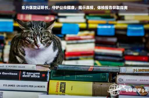 东升医院证明书，守护公众健康，揭示真相，体检报告获取指南