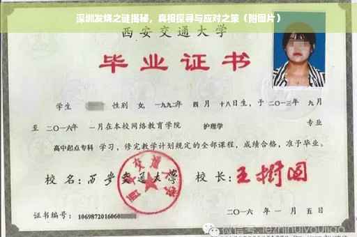 深圳发烧之谜揭秘，真相探寻与应对之策（附图片）