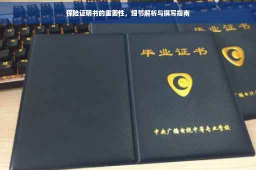 保险证明书的重要性，细节解析与撰写指南