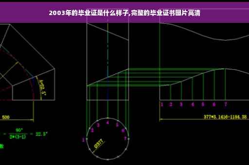 2003年的毕业证是什么样子,完整的毕业证书图片高清