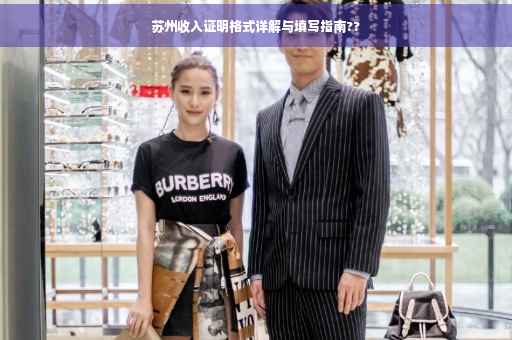 苏州收入证明格式详解与填写指南??