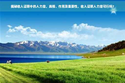 揭秘收入证明中的人力章，真相、作用及重要性，收入证明人力章可行吗？