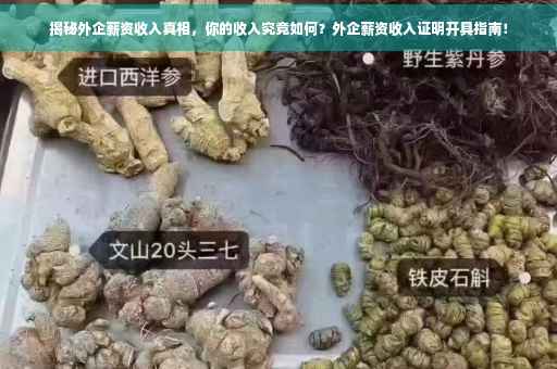 揭秘外企薪资收入真相，你的收入究竟如何？外企薪资收入证明开具指南！