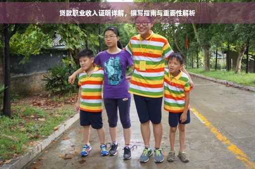 贷款职业收入证明详解，撰写指南与重要性解析