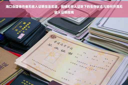 海口自媒体作者无收入证明生活实录，揭秘无收入证明下的生存状态与如何开具无收入证明指南
