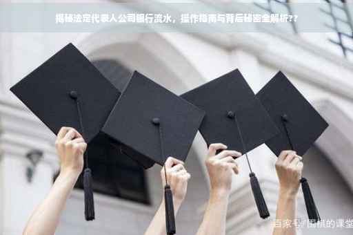 揭秘法定代表人公司银行流水，操作指南与背后秘密全解析??