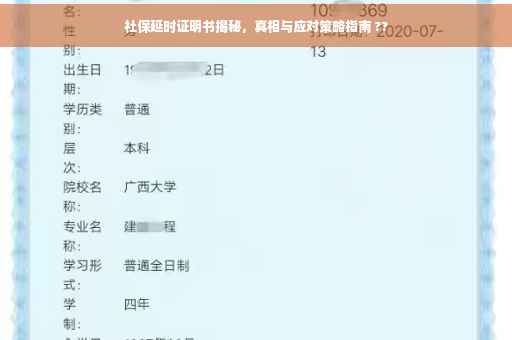 社保延时证明书揭秘，真相与应对策略指南 ??
