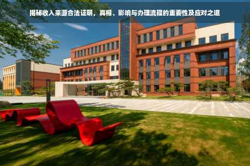 揭秘收入来源合法证明，真相、影响与办理流程的重要性及应对之道
