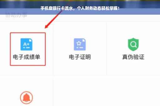 手机查银行卡流水，个人财务动态轻松掌握！