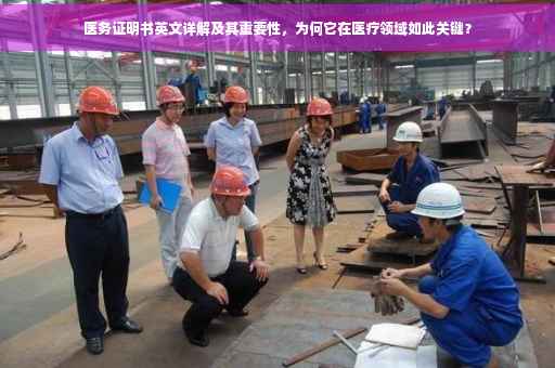 医务证明书英文详解及其重要性，为何它在医疗领域如此关键？