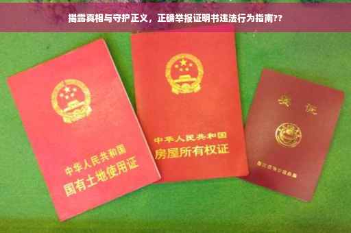 揭露真相与守护正义，正确举报证明书违法行为指南??