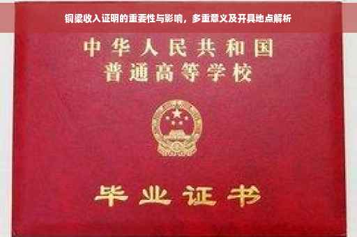 铜梁收入证明的重要性与影响，多重意义及开具地点解析