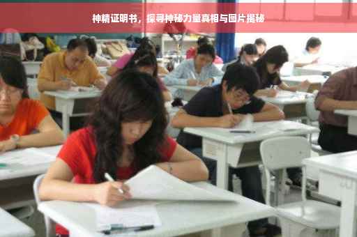 神精证明书，探寻神秘力量真相与图片揭秘