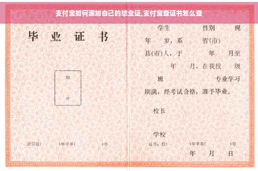 支付宝如何添加自己的毕业证,支付宝查证书怎么查